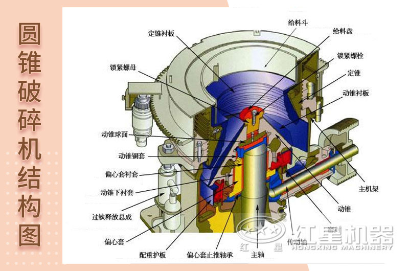 內部結構 內部結構