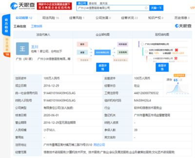 洪鋒卸任廣州小米信息服務法人等職位，信息技術咨詢服務業務調整引關注