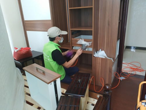 守護清新空氣，構筑健康空間——綠凈源廈門辦公室除甲醛公司專業服務解析